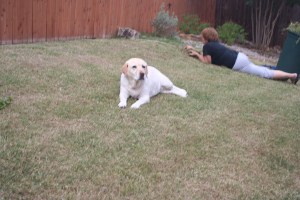 Grandma Hard At Work